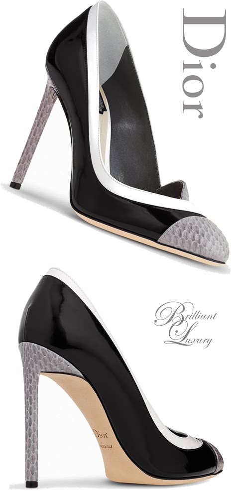 dior sky high heels|Dior high heels price.